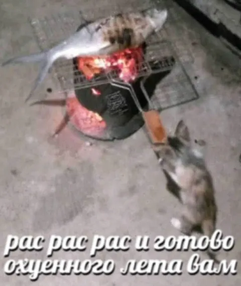 Рас рас рас и готово