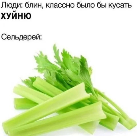 Сельдерей вместо хуйни