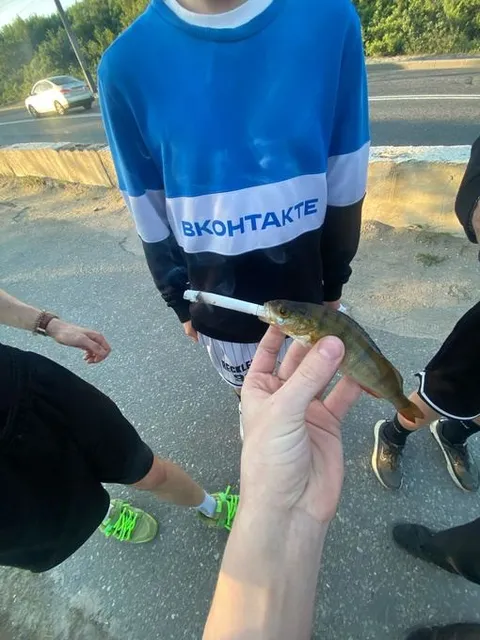 Рыба в стиле ВКонтакте