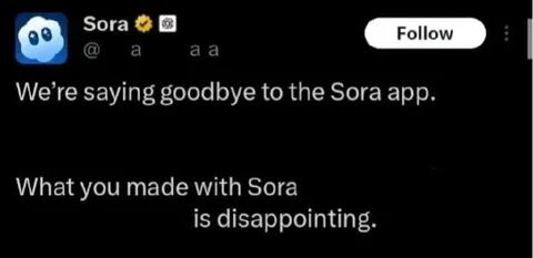 Sora App Goodbye