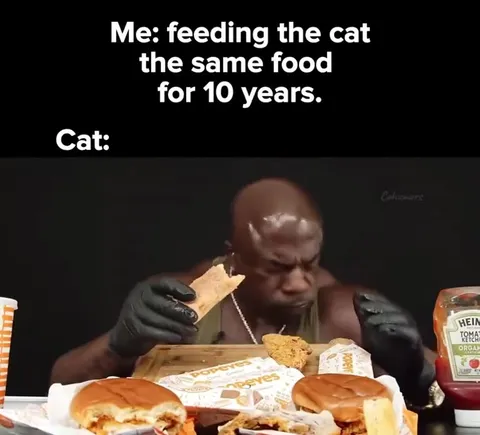 Cat Eats the Same Food for 10 Years