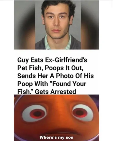 Found Your Fish