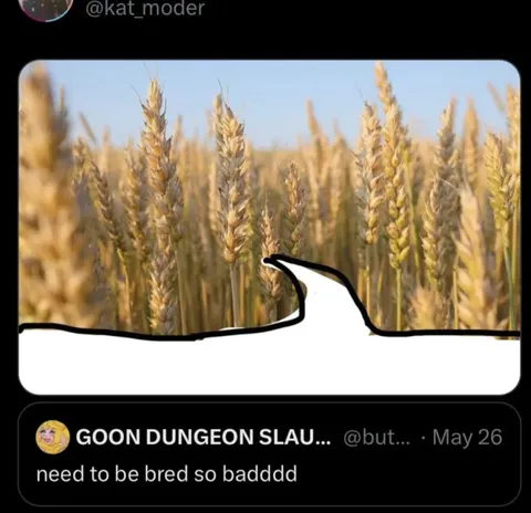Need to Be Bred So Bad