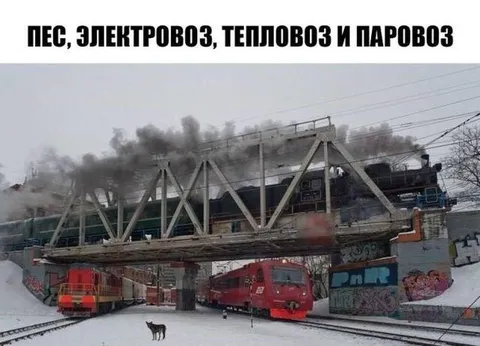Пёс и четыре локомотива