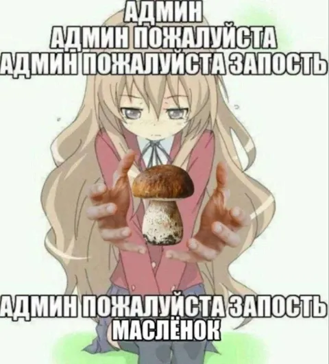 Админ, пожалуйста, запость маслёнок