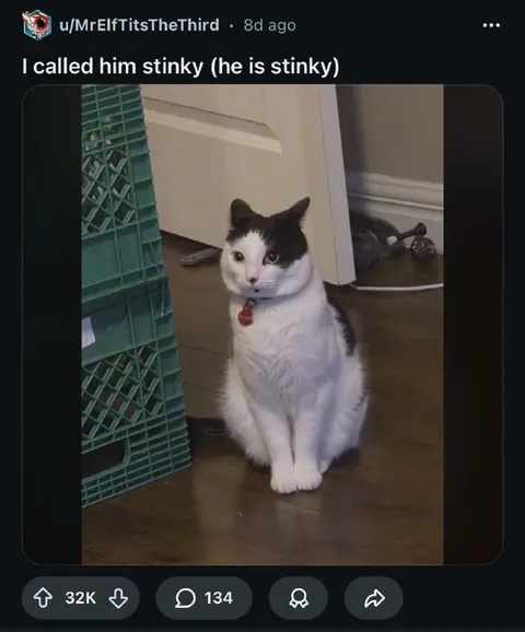 I Called Him Stinky