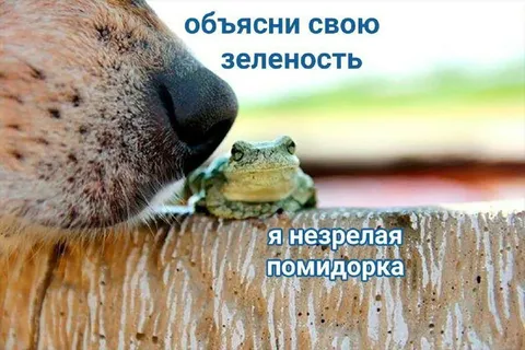 Объясни свою зеленость