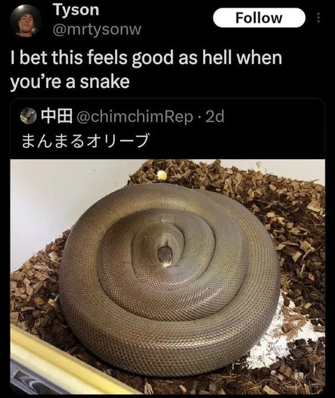 Snake Feels Good as Hell