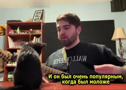 Кот услышал металкор