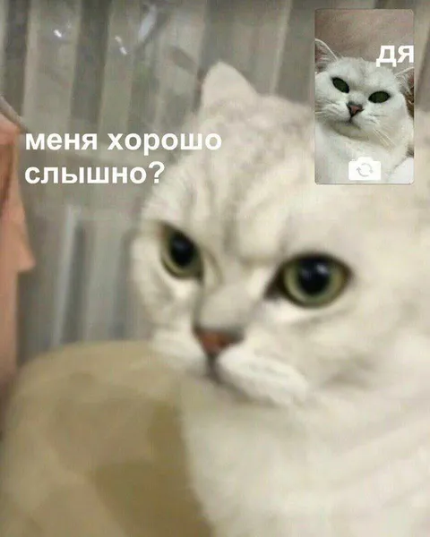 Меня хорошо слышно?