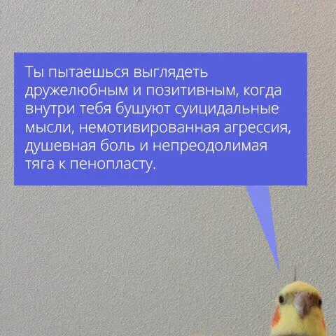 Дружелюбный человек внутри