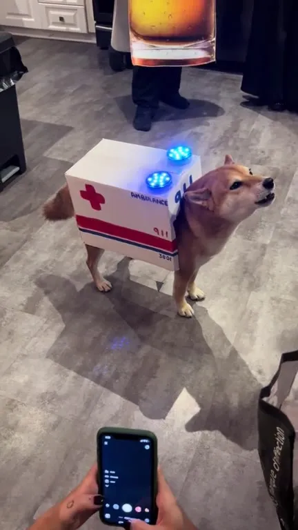 Ambulance Dog Howling