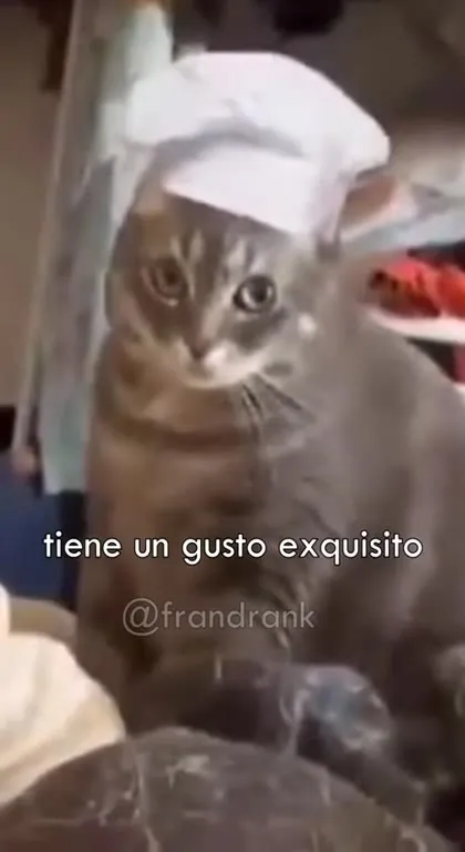 La pizzería del gatito