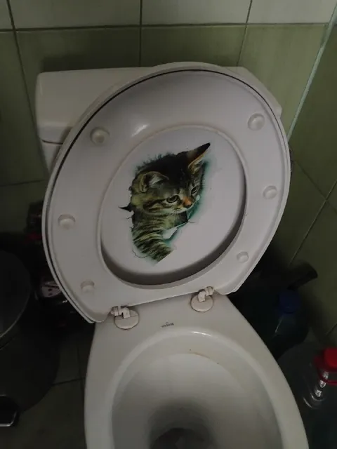 Кот на крышке унитаза