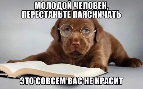 Щенок-профессор читает нотации