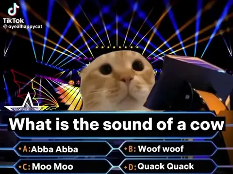 What Is the Sound of a Cow
