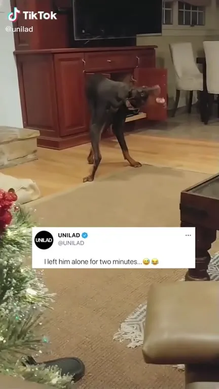 I Left Him Alone for Two Minutes