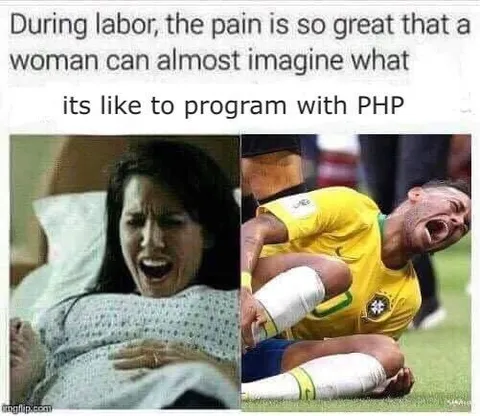 Programming with PHP Pain