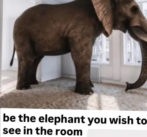 Be the Elephant in the Room