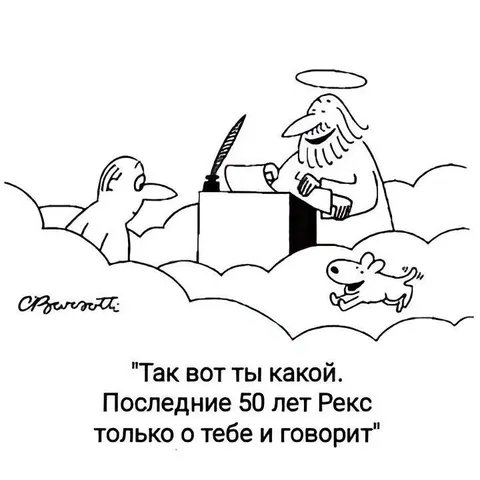 Рекс говорит только о тебе