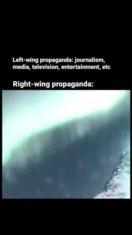 Right-Wing Propaganda Kitten