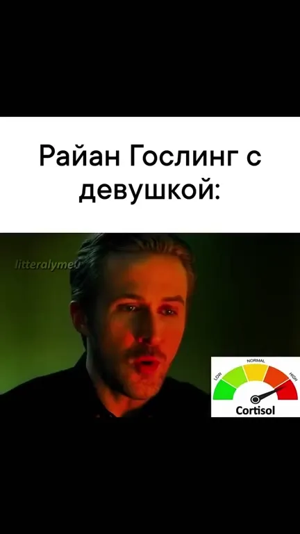 Райан Гослинг с девушкой и камнем