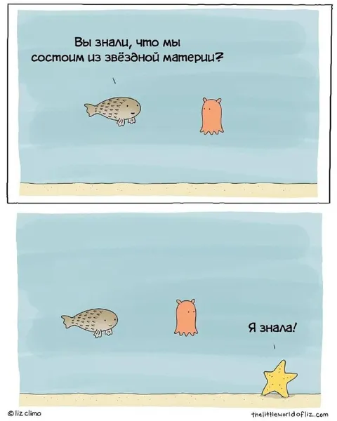Состоим из звёздной материи