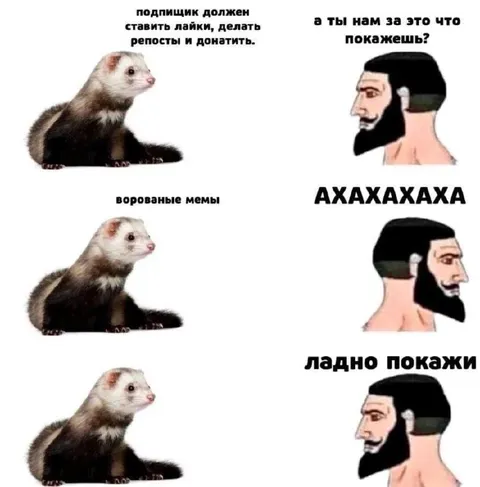 Подписчик требует показать мемы