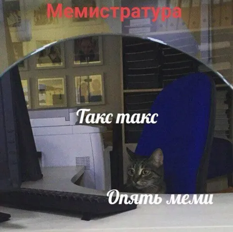 Кот снова делает мемы