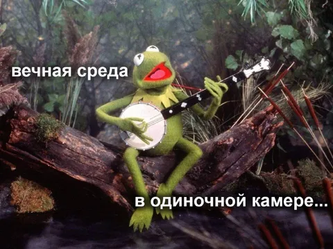 Вечная среда в одиночной камере