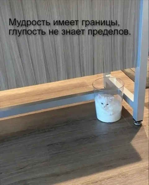 Мудрость имеет границы
