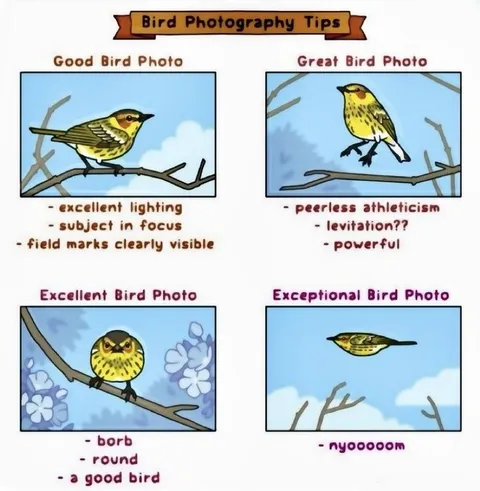 Bird Photography Tips Gone Wrong