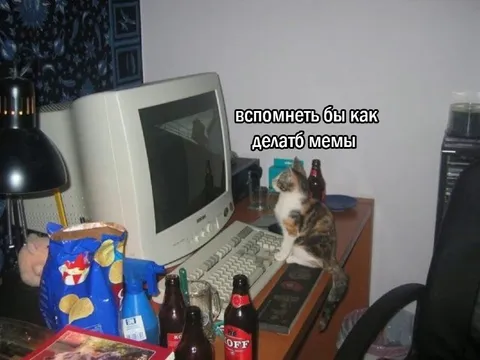 Вспомнить, как делать мемы