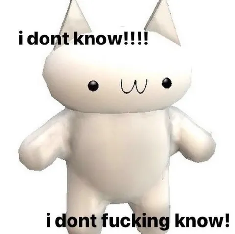 I Don't Fucking Know Cat