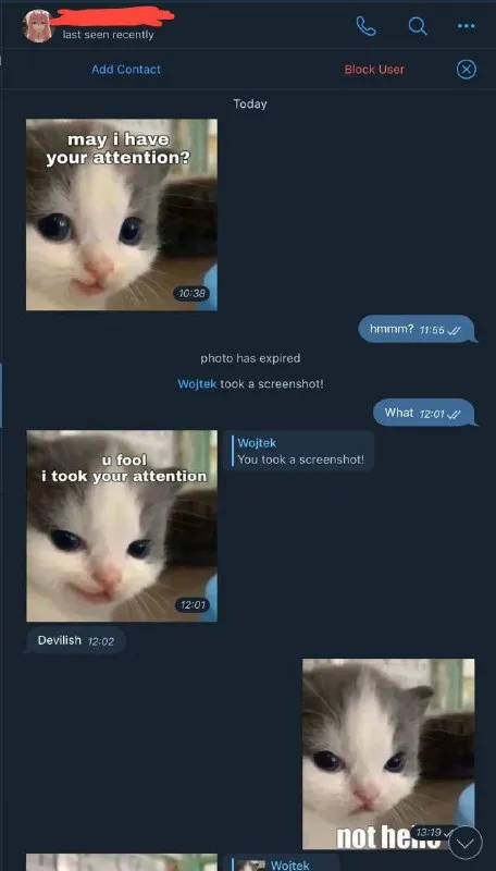 Crying Kitten Takes Your Attention