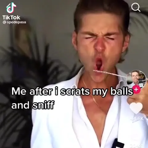 After Scratching and Sniffing