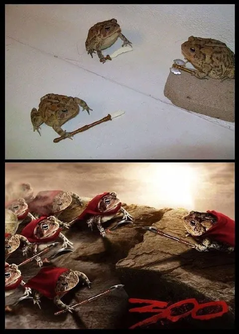 Лягушки готовятся к битве