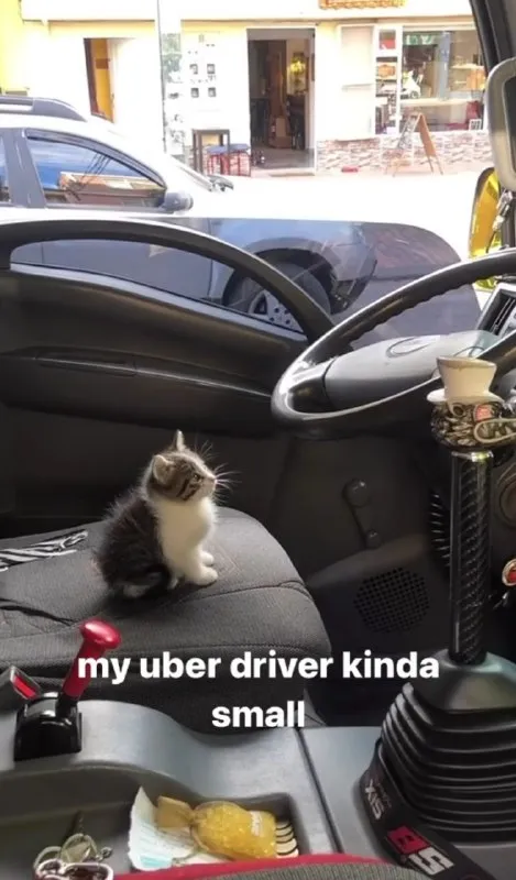Tiny Uber Driver