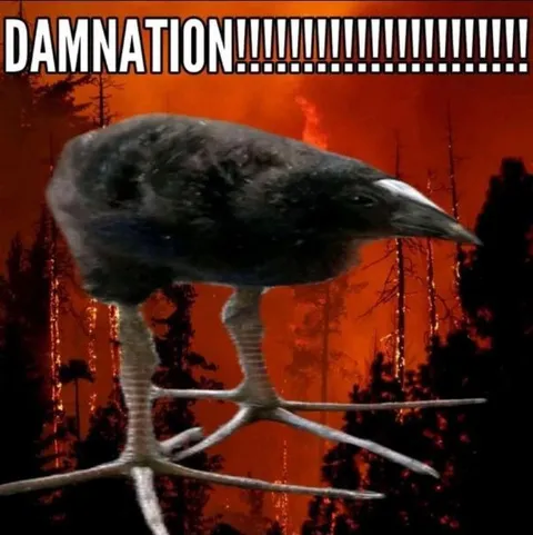 Damnation Crow Bird