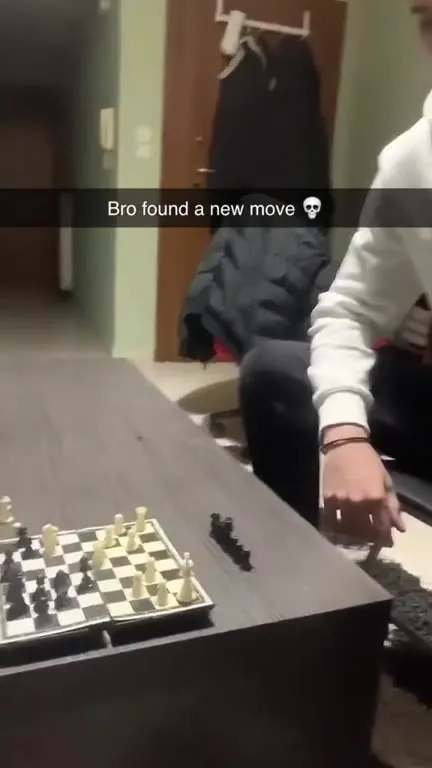 Bro Found a New Chess Move
