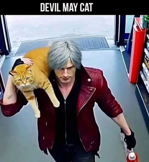 Devil May Cat