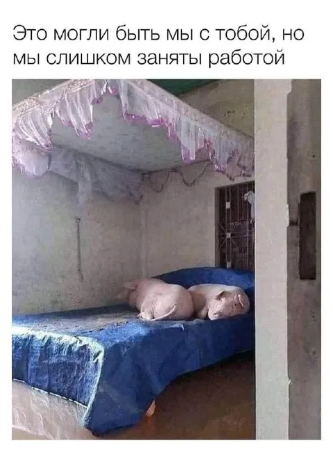Слишком заняты работой