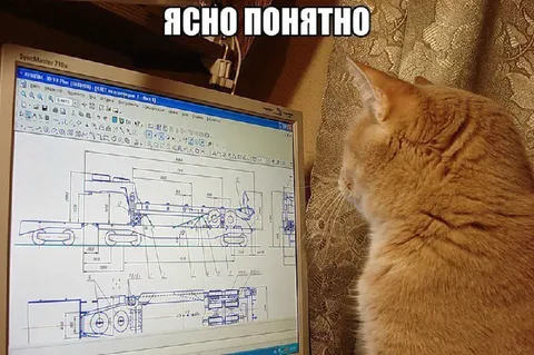 Кот изучает чертёж