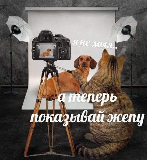 А теперь показывай жопу
