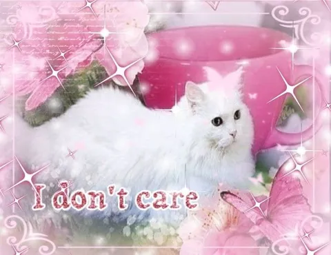 Pink Glitter I Don't Care Cat