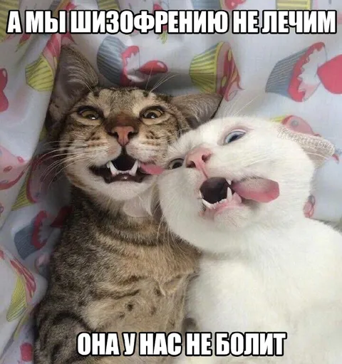 А мы шизофрению не лечим