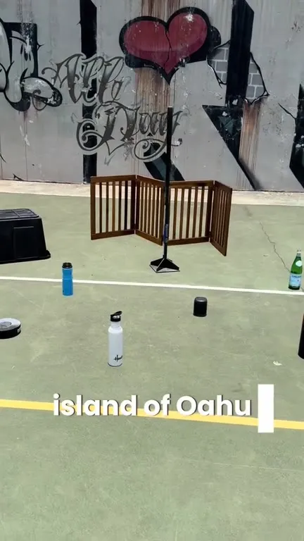 Lahaina Noon Shadowless Objects