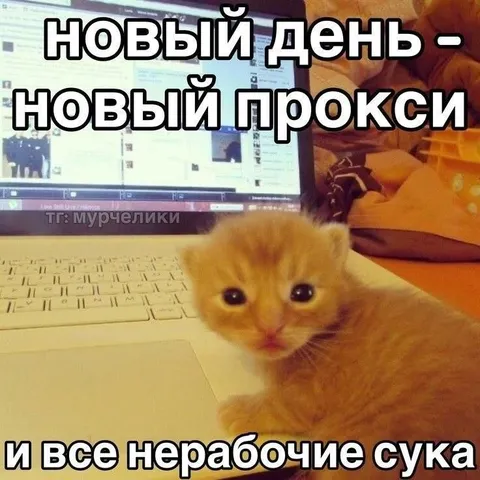 Новый день — новый прокси