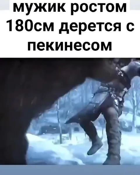 Мужик дерется с пекинесом