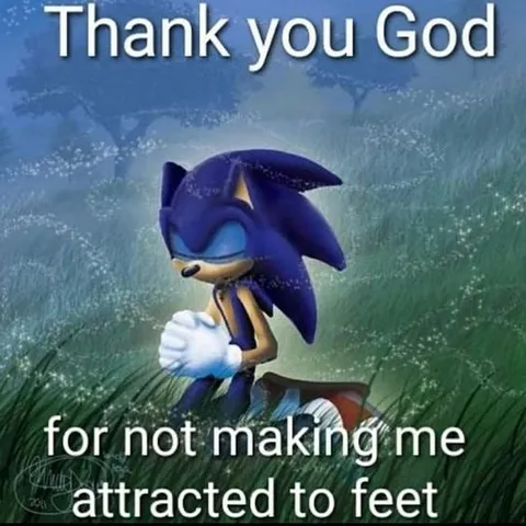 Sonic Is Not Into Feet